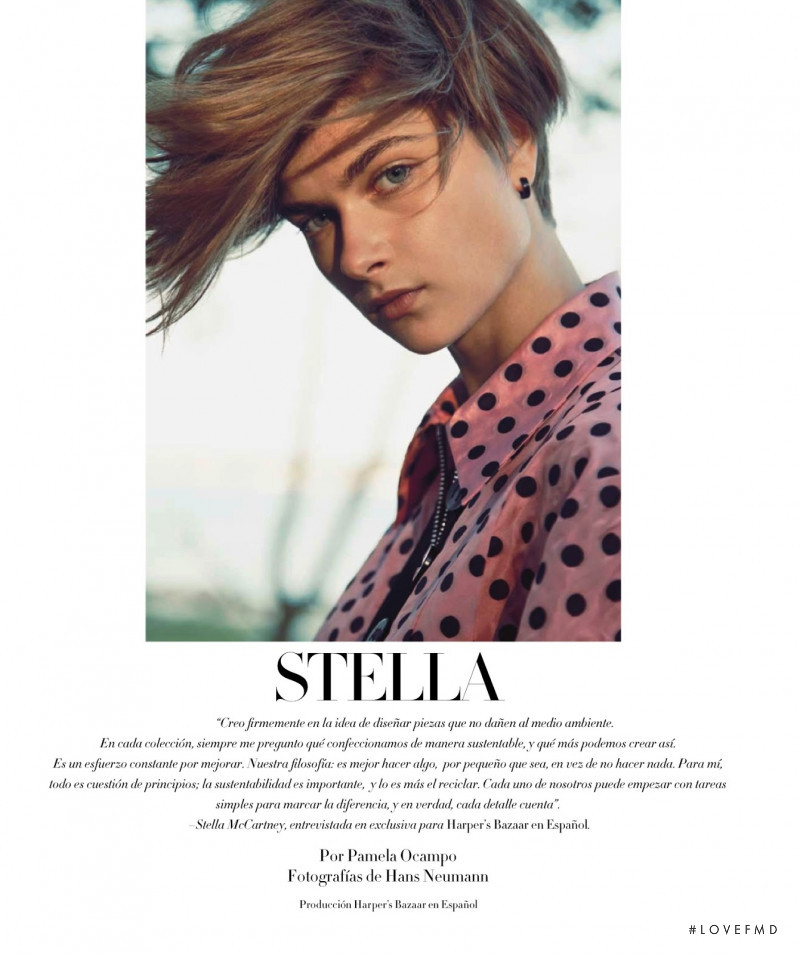 Bo Don featured in Stella, August 2013