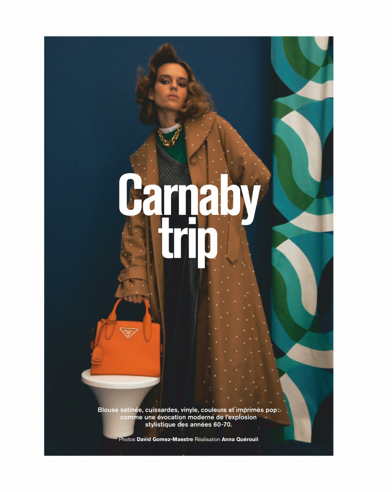 Carnaby Trip, November 2020
