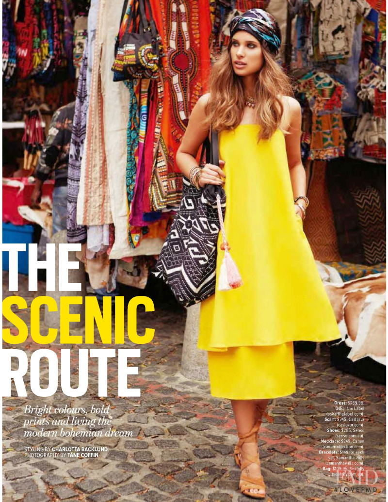 Lise Olsen featured in The Scenic Route, January 2016