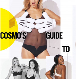 Cosmos Guide To Lingerie