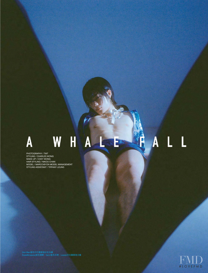 A Whale Fall, July 2021