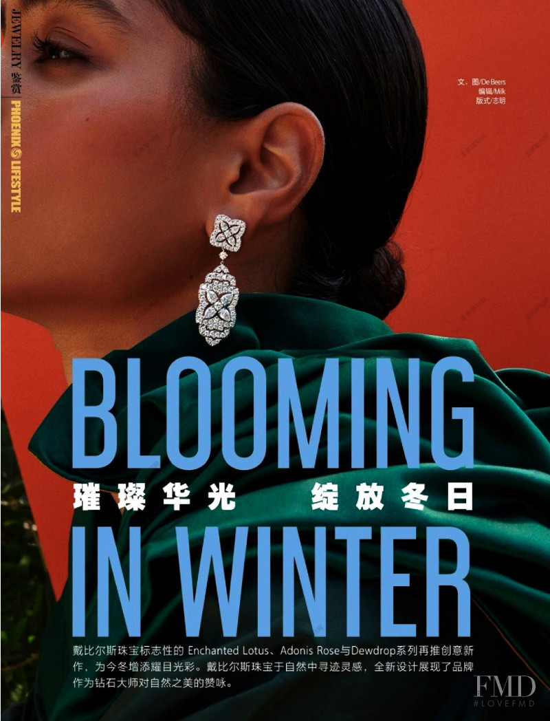 Blooming in Winter, December 2021