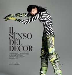 Il Senso Del Decor