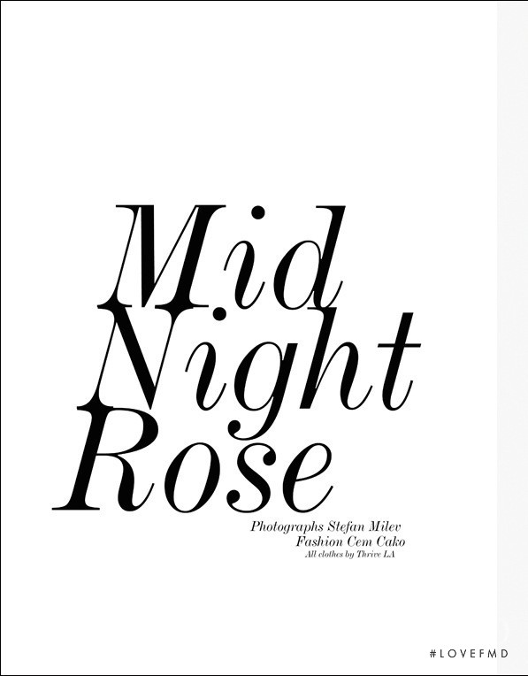 Mid Night Rose, July 2013