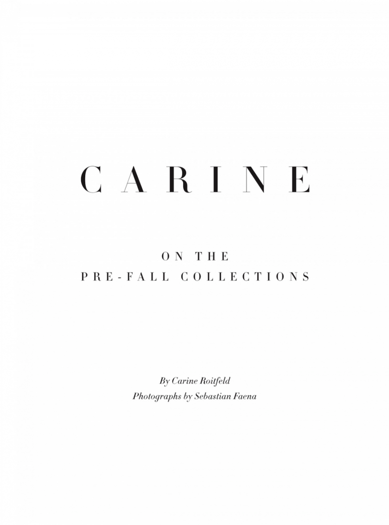 Carine on the Pre-Fall Collections, May 2013