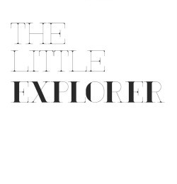 The Little Explorer