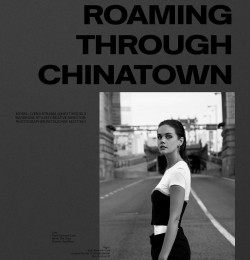 Roaming Through Chinatown