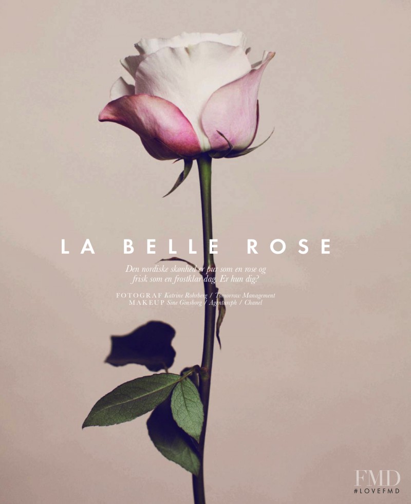 La Belle Rose, March 2013