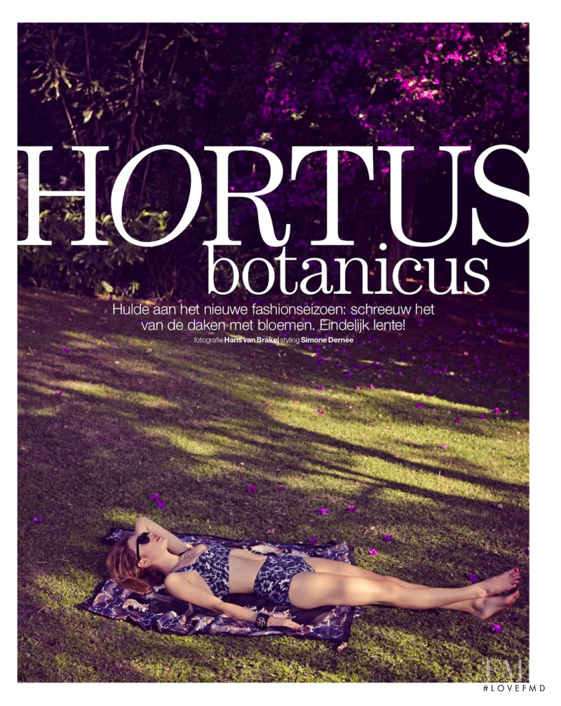 Sophie Vlaming featured in Hortus Botanicus, April 2013