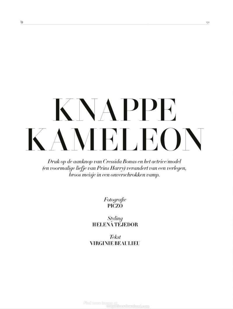 Knappe Kameleon, January 2016