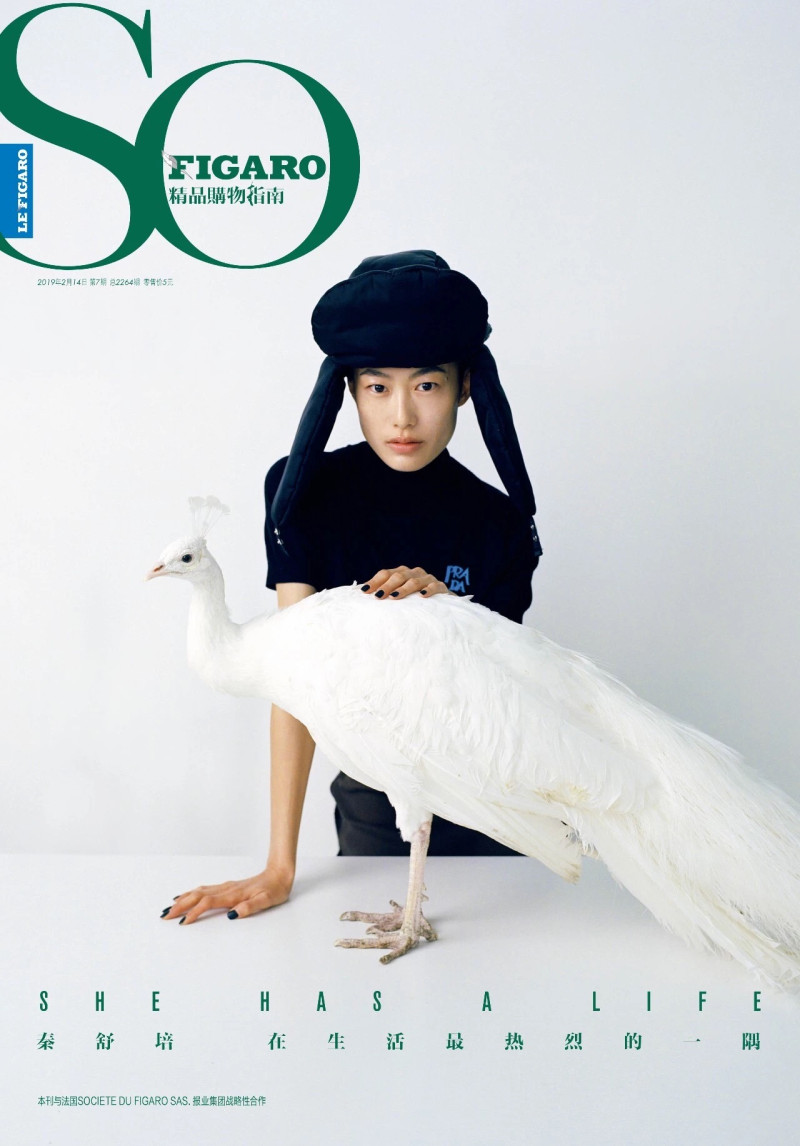 Shu Pei featured in Shu Pei, February 2019