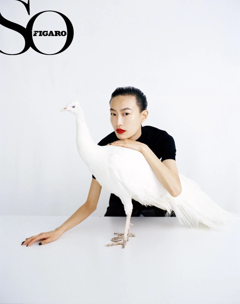 Shu Pei featured in Shu Pei, February 2019