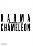 Karma Chameleon