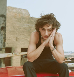 Timothée Chalamet