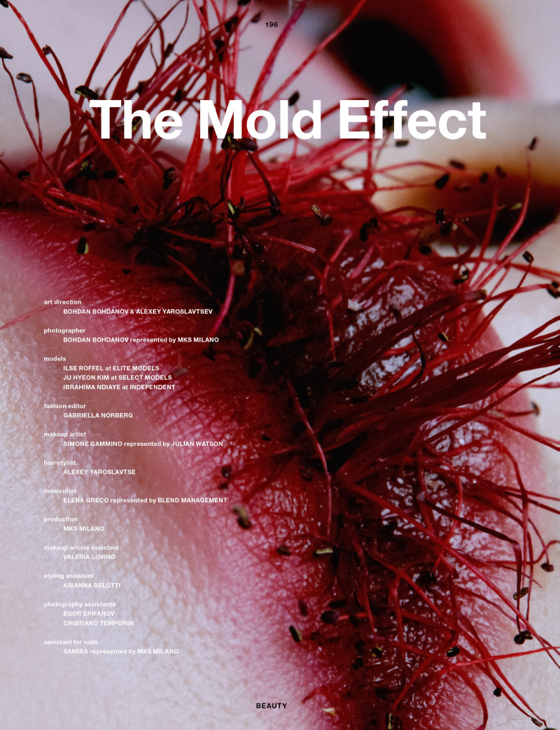 The Mold Effect, March 2023