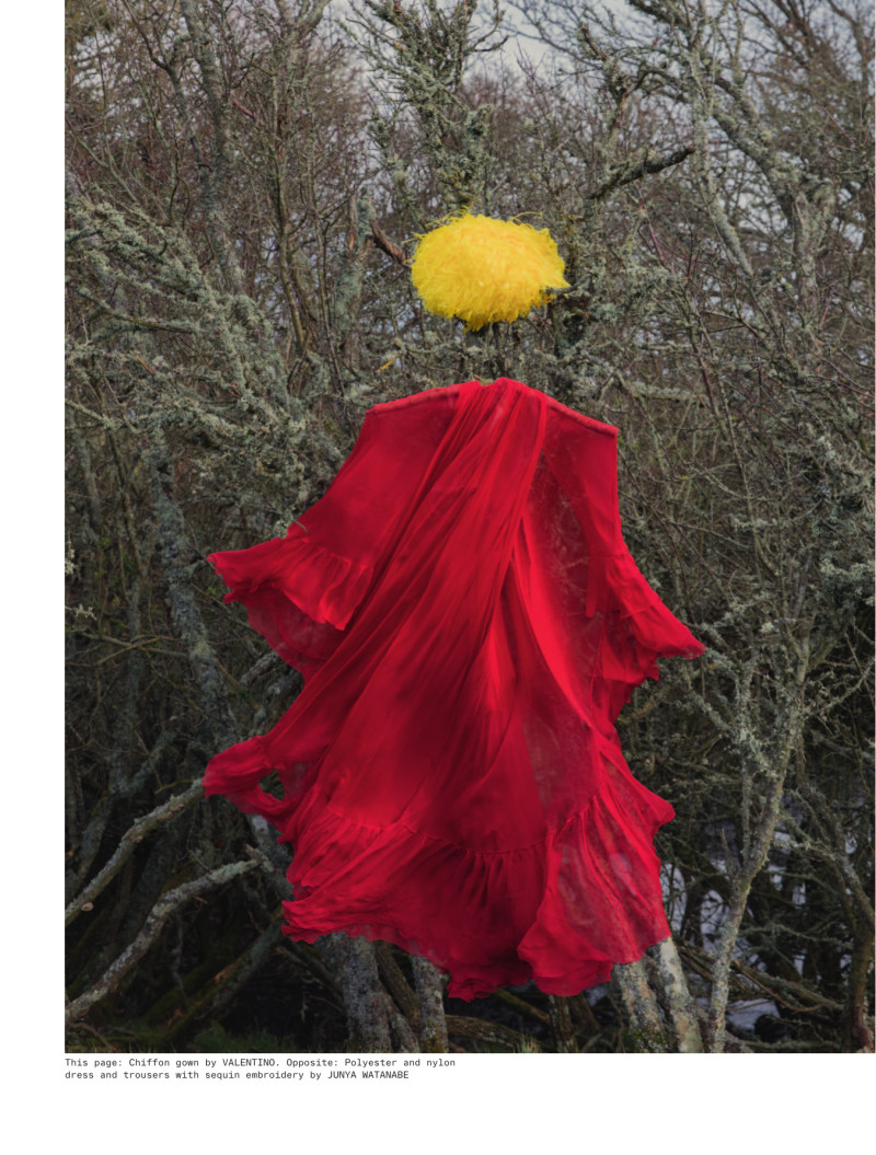 Scarecrow Is Waving At The Moon, March 2021