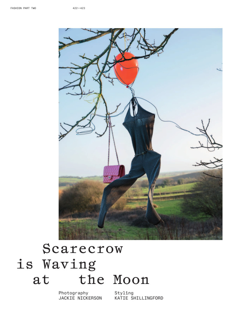 Scarecrow Is Waving At The Moon, March 2021