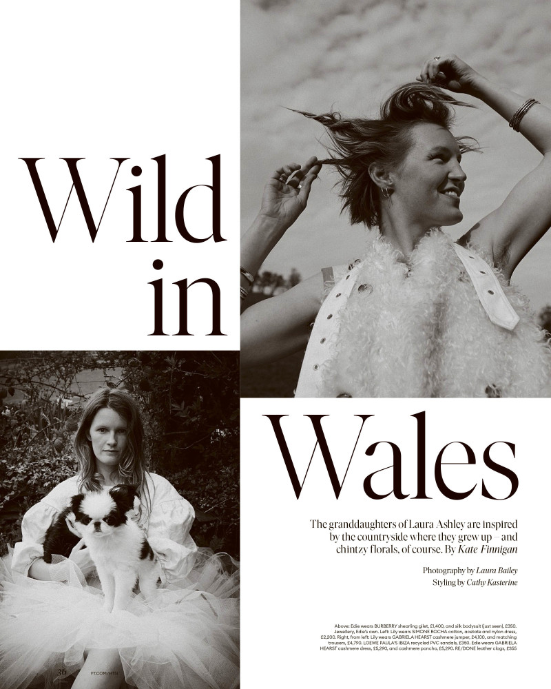 Wild In Wales, May 2022