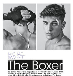 The Boxer