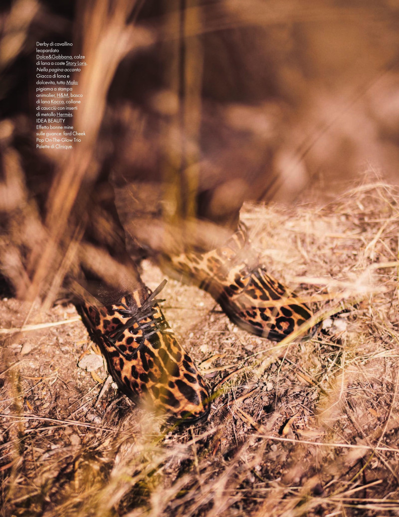 Walk On The Wild Side, October 2019