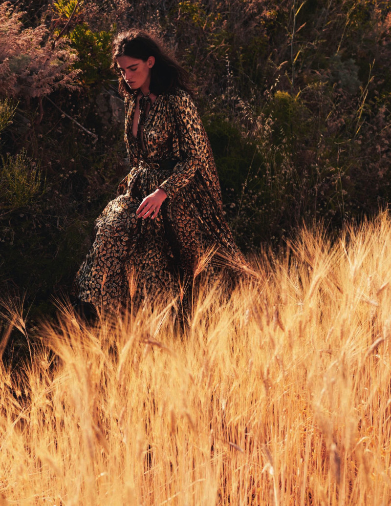 Walk On The Wild Side, October 2019