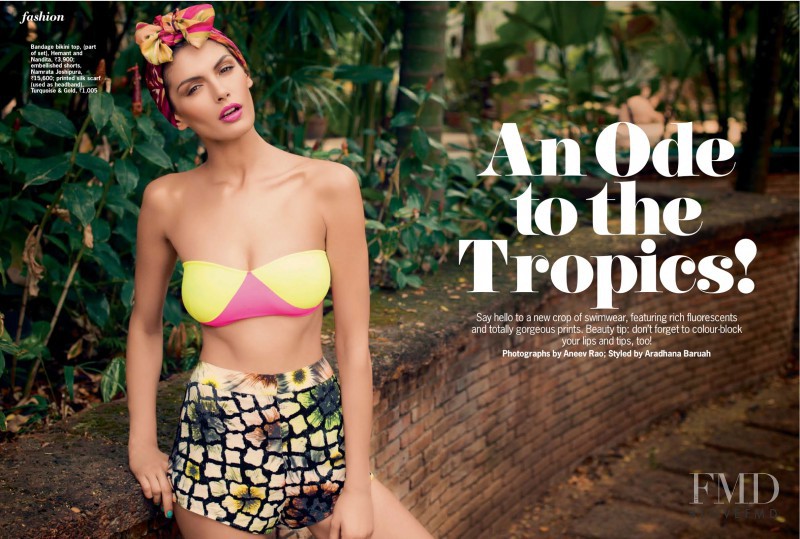 An Ode To The Tropics, May 2013