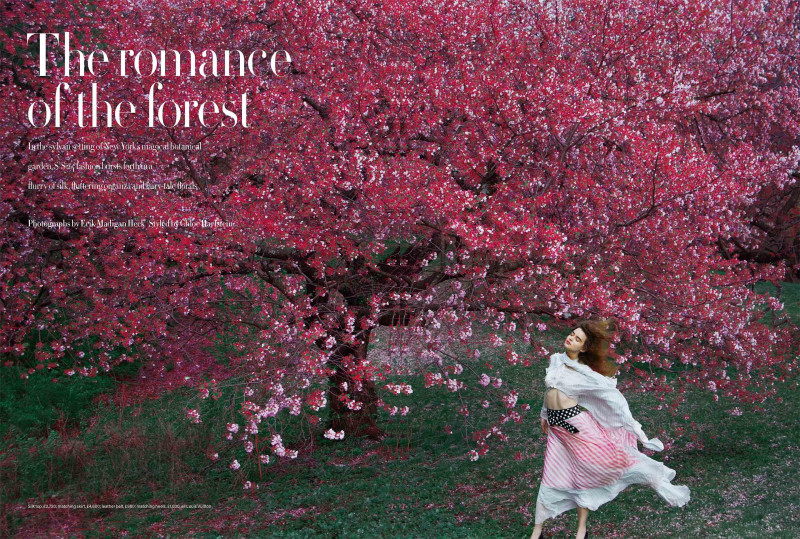 The romance of the forest, June 2024