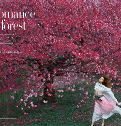 The romance of the forest