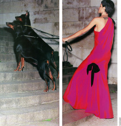 Czara, YSL Haute Couture