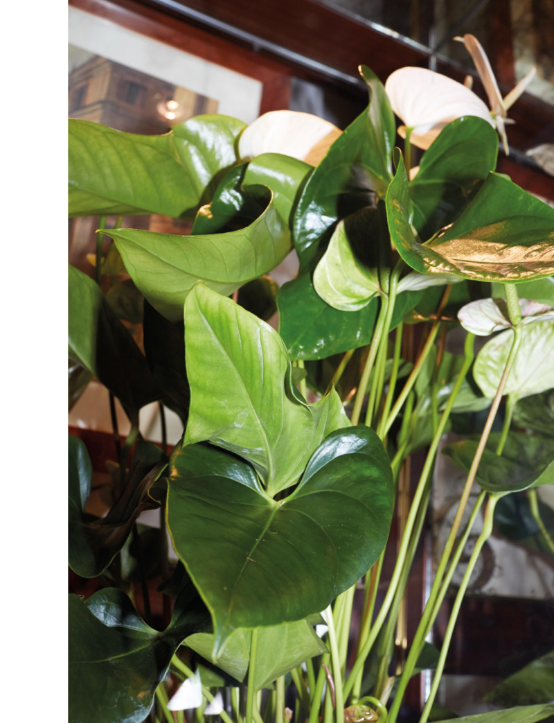 Acquisition: LVMH\'s Cova, February 2014