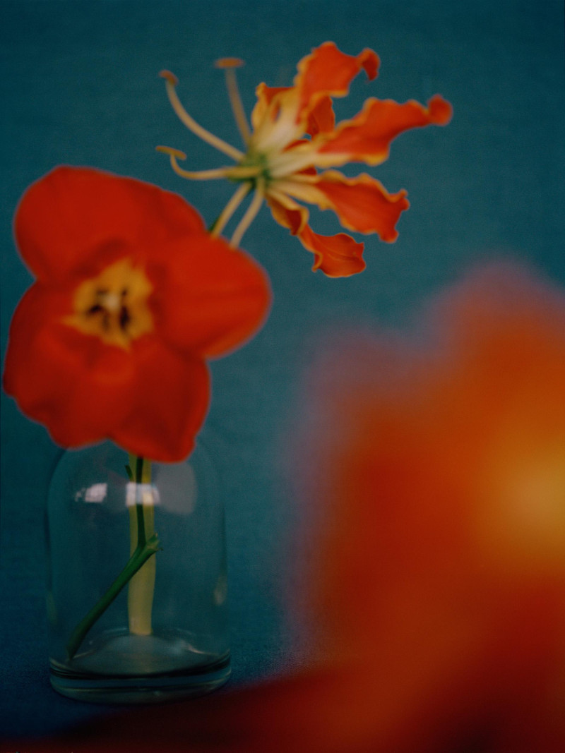 Yorgelis Marte featured in Coming Up Roses, September 2019