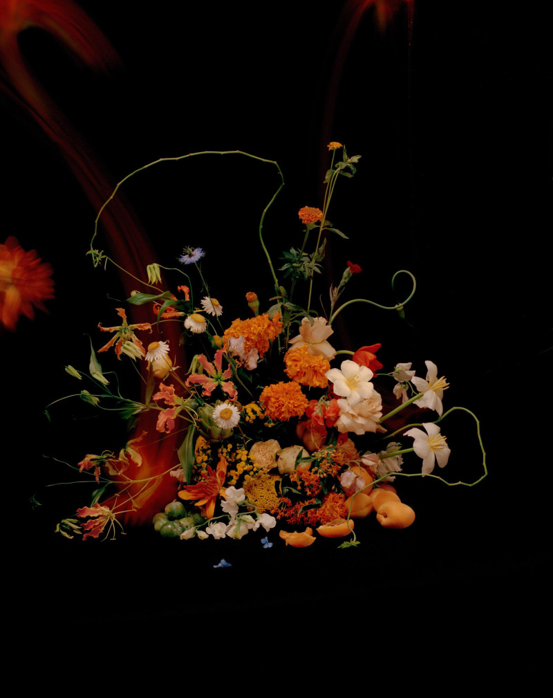Yorgelis Marte featured in Coming Up Roses, September 2019