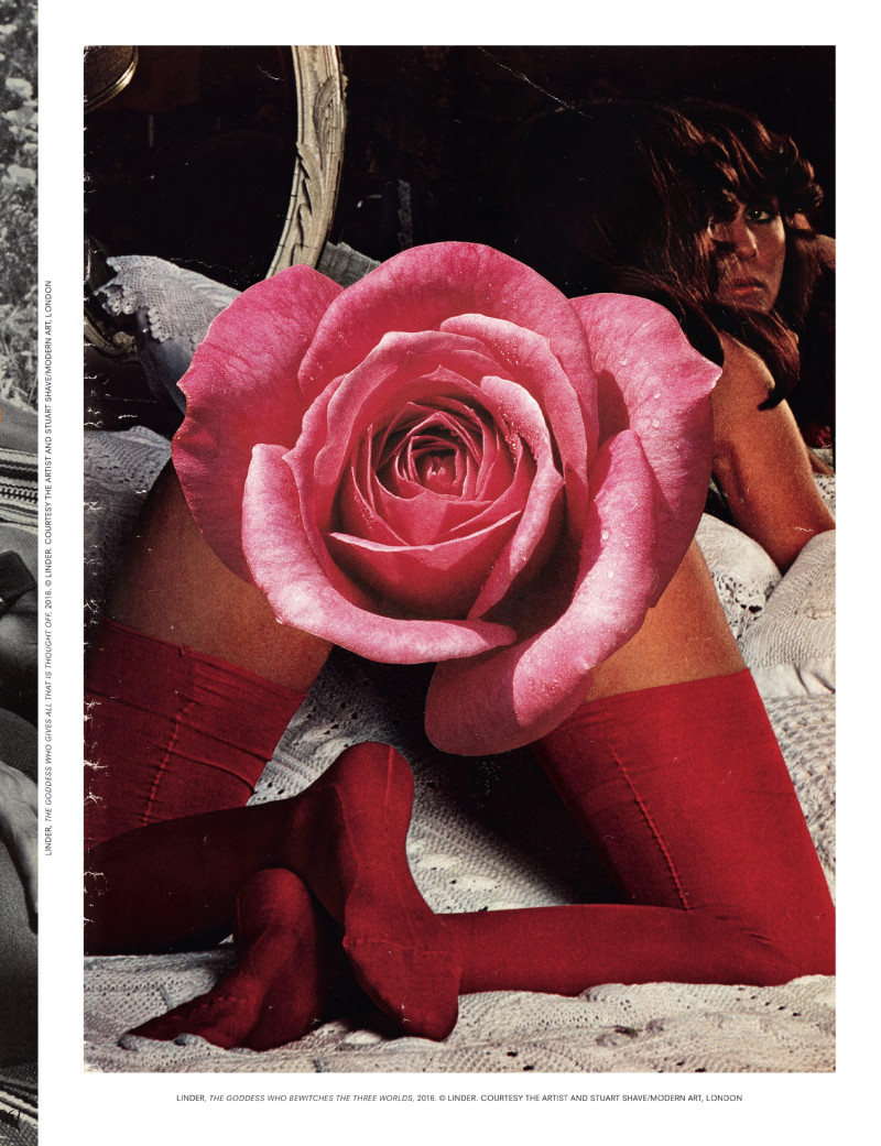 Where The Wild Roses Grow, September 2018