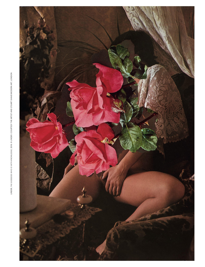 Where The Wild Roses Grow, September 2018