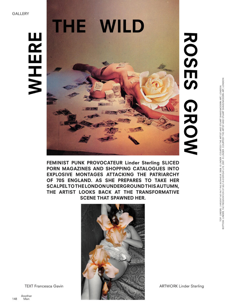 Where The Wild Roses Grow, September 2018