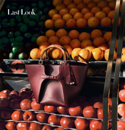 Last Look