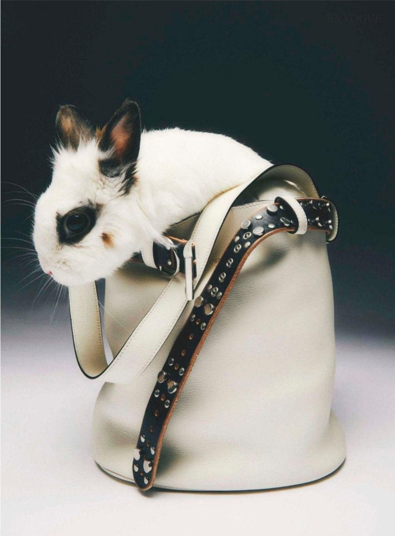 Animales fantásticos, February 2025