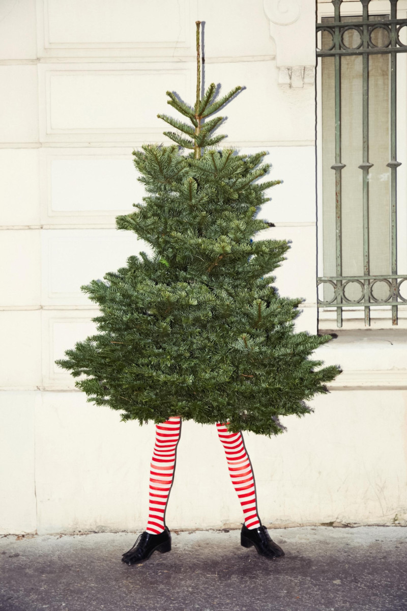 Festive Fashion, December 2024