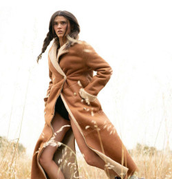 Navajo Life