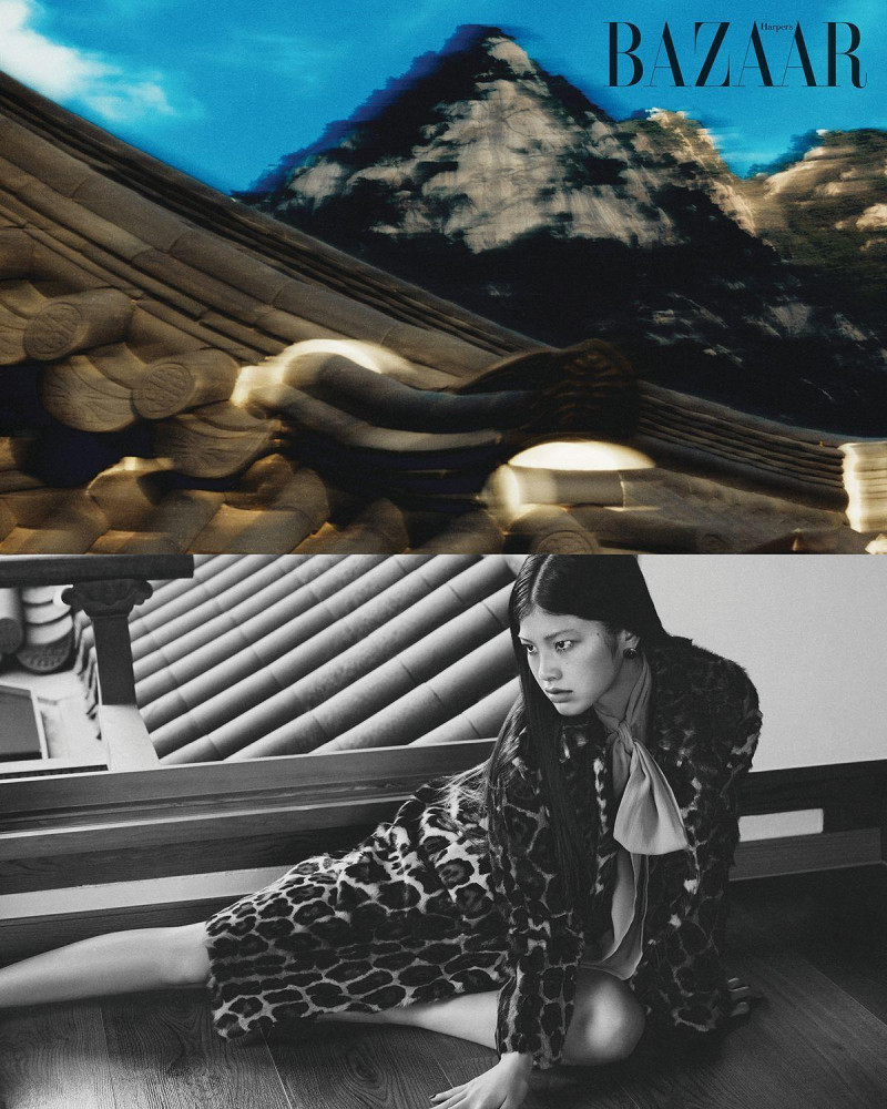 This winter, the leopard styling formula, November 2024