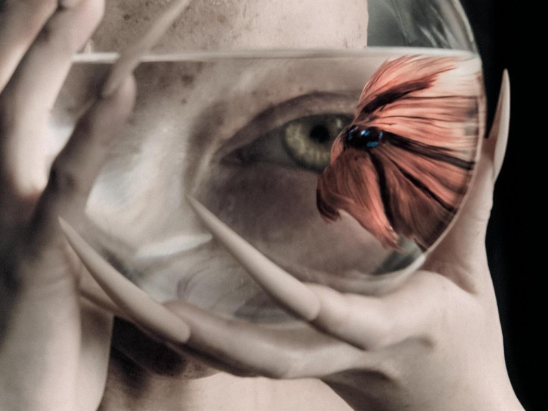 Sara Grace Wallerstedt featured in Surrealiste, October 2024