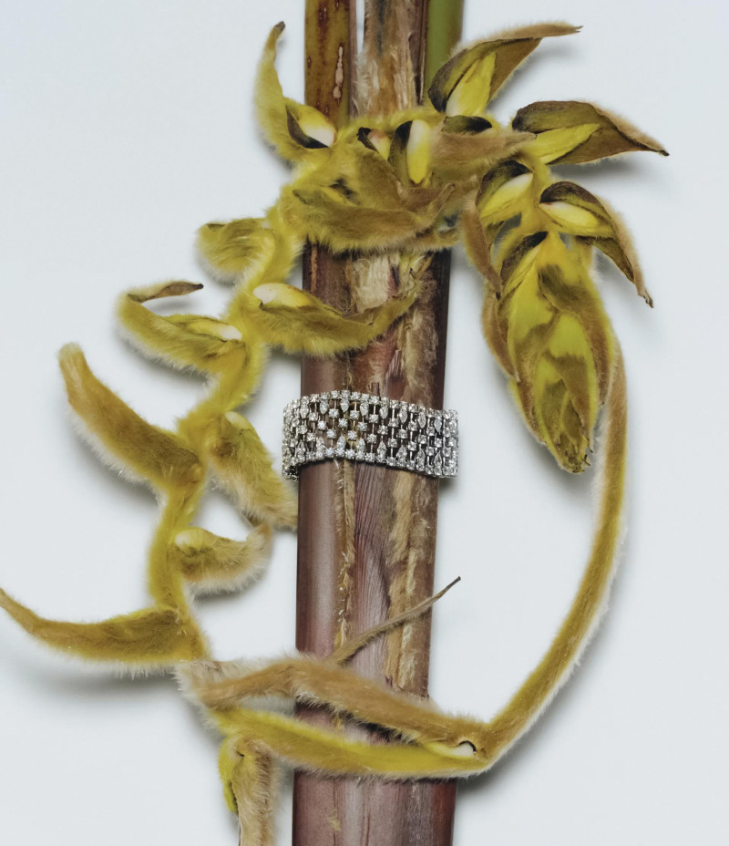 Nazarit Machin featured in Earthly Delights, December 2024