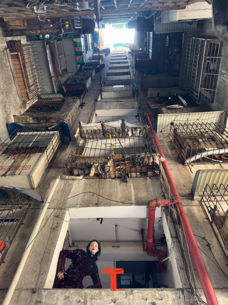 Xiao Wen Ju featured in Chongqing, November 2024