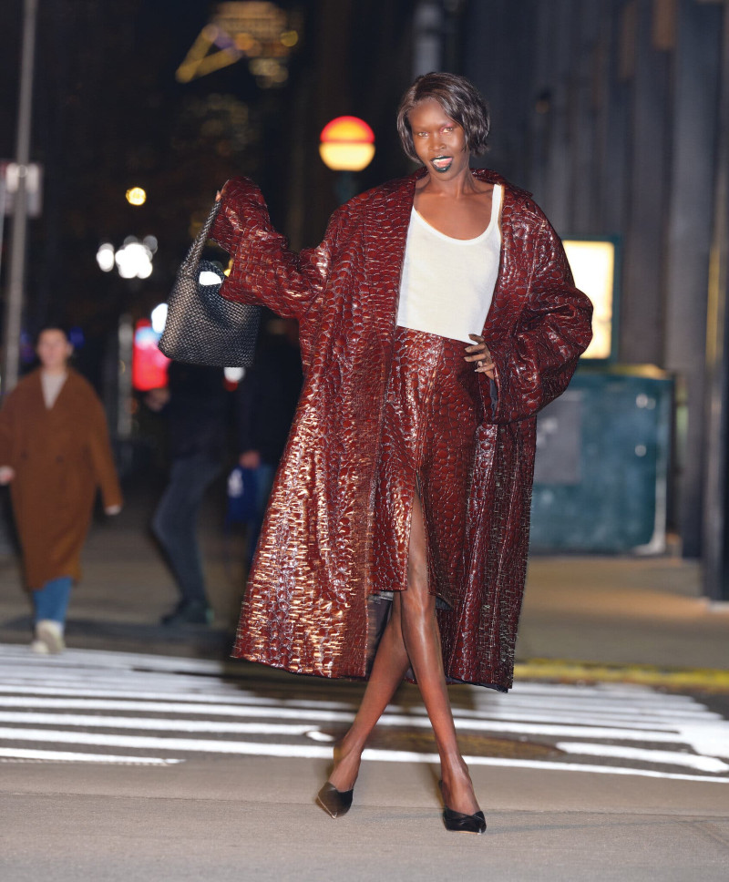 Alek Wek featured in This Spring, Classic Fashion Staples Are Infused With High Drama, February 2023