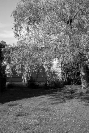 Christina Kruse featured in My Neighborhood Is Our World, September 2024