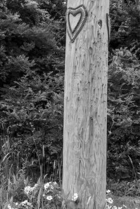 Christina Kruse featured in My Neighborhood Is Our World, September 2024