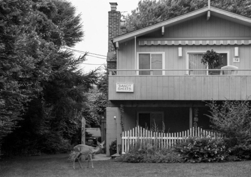 Christina Kruse featured in My Neighborhood Is Our World, September 2024