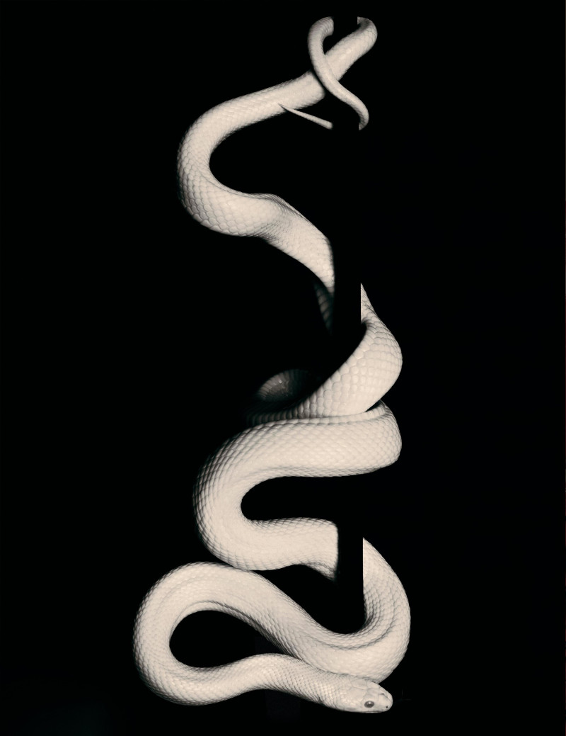 Ying Ouyang featured in Ouyang Ying, February 2025