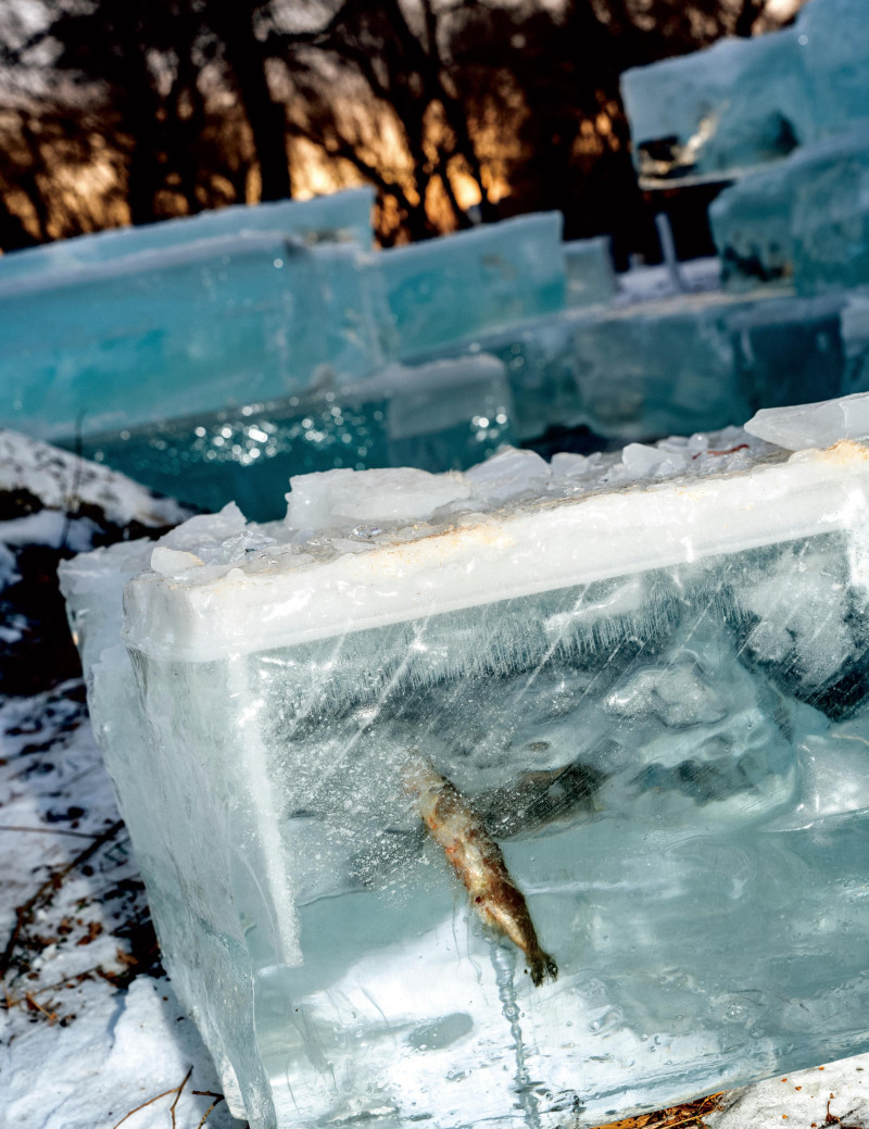 Hejia Li featured in The Winter In Changchun, January 2024