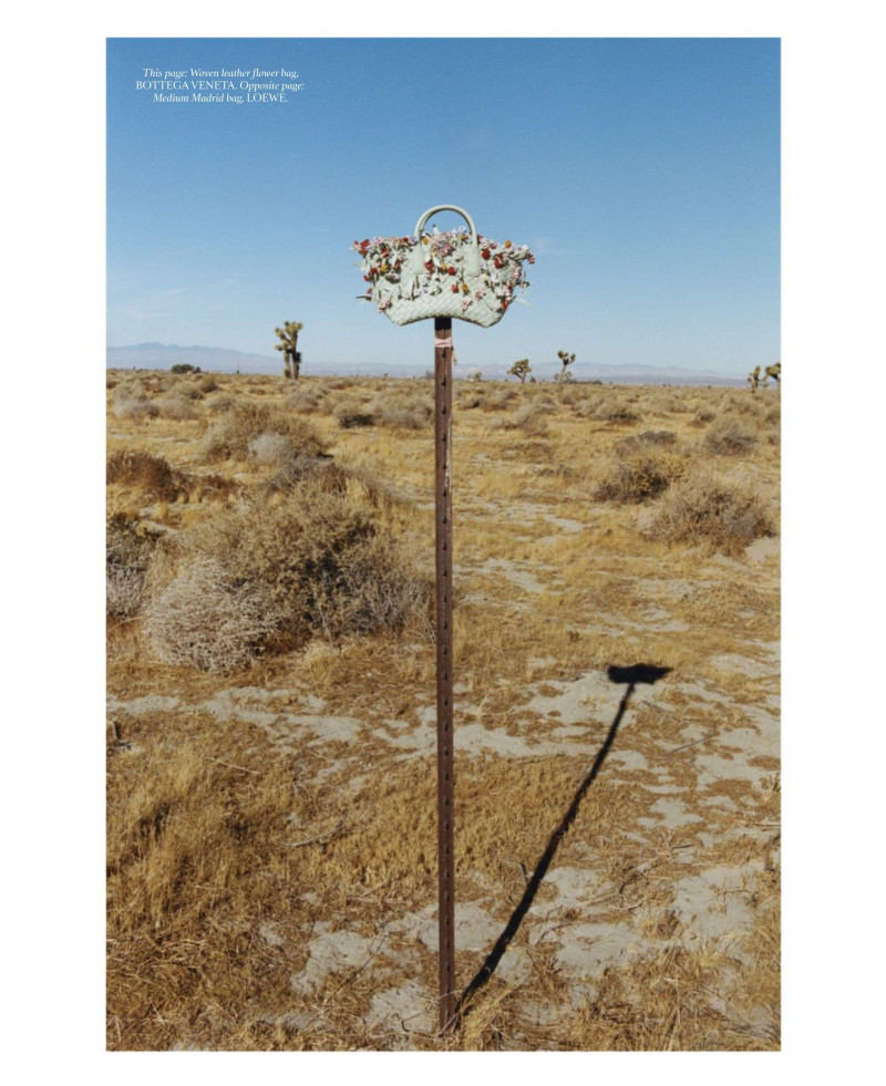 Road Trip, March 2025